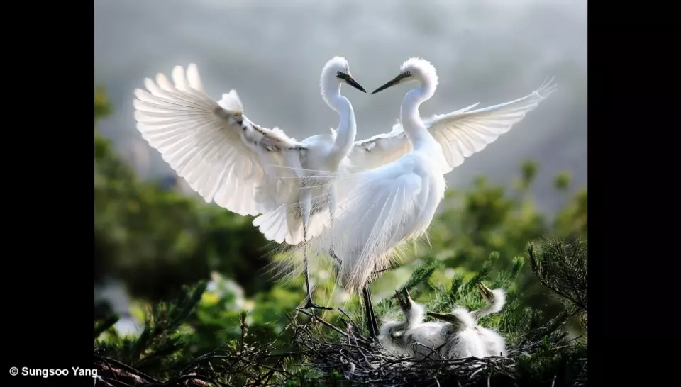 Veolia China, Love Planet