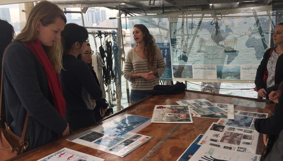Tara Expeditions in Hong Kong and China 2