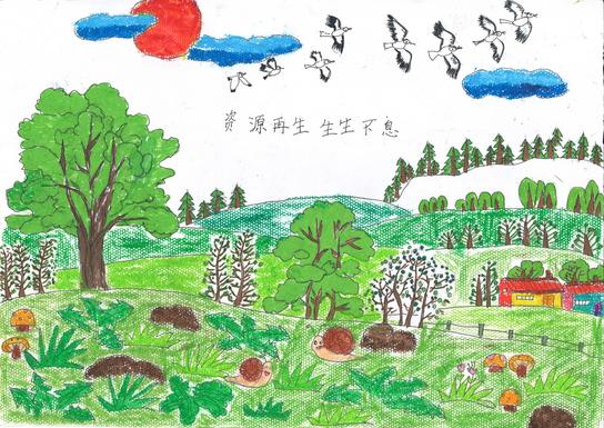 Biodiversity Drawing Competition, Drawing Campaign, International Biodiversity Day