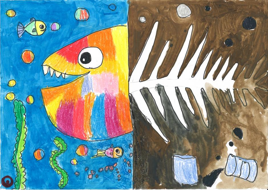 Biodiversity Drawing Competition, Drawing Campaign, International Biodiversity Day