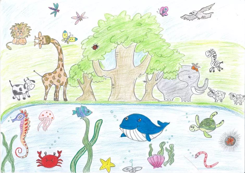 Drawing 14 Biodiversity Drawing Competition, Drawing Campaign, International Biodiversity Day