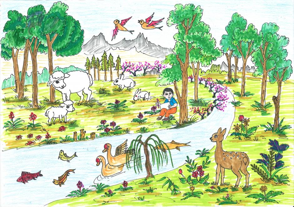 Biodiversity Drawing Competition, Drawing Campaign, International Biodiversity Day